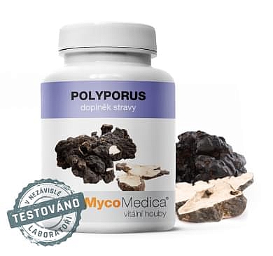 MycoMedica  Polyporus 90 cps.